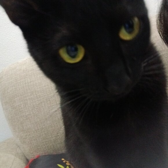 Meet your Posher, Barbara - Picture 1 of 1